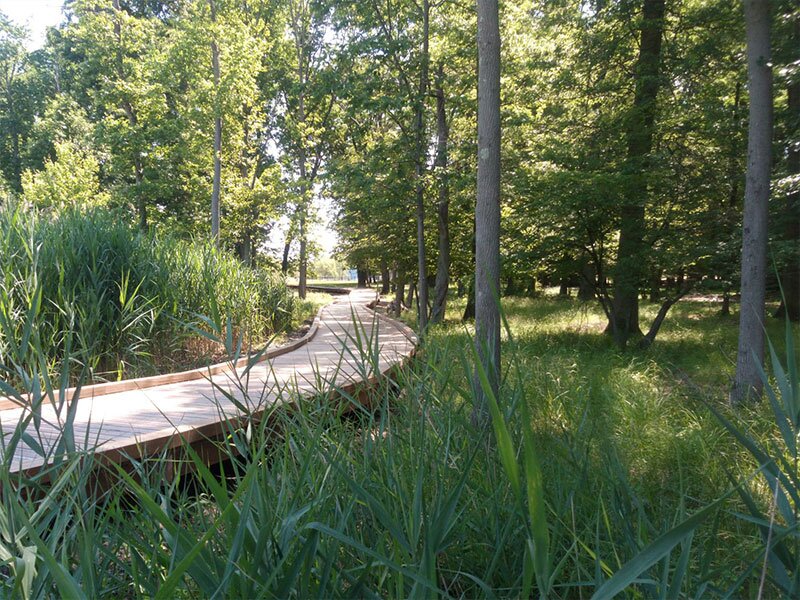 Ludana - Sentier pédagogique en forêt de Camors